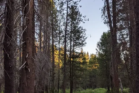 Bridalveil Creek Horse Camp - Yosemite National Park
