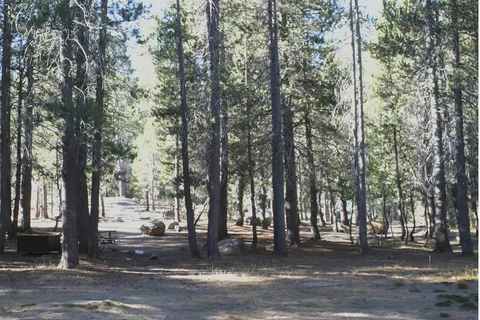 Bridalveil Creek Horse Camp - Yosemite National Park