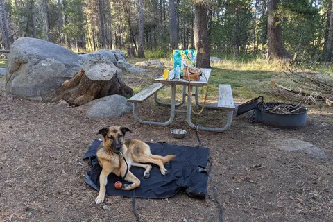 Bridalveil Creek Horse Camp - Yosemite National Park