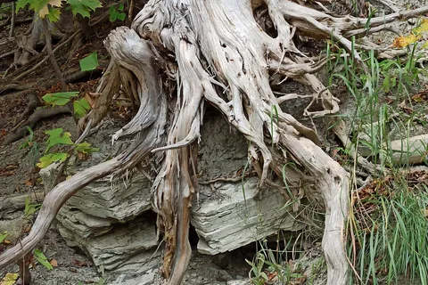 Green Lakes State Park