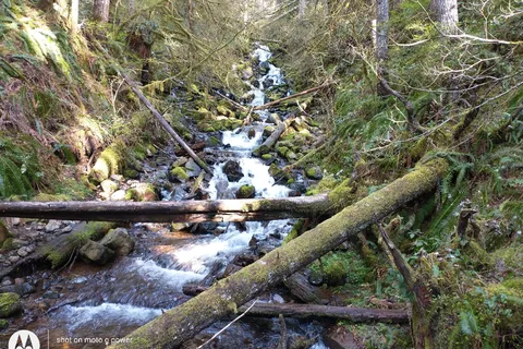 Fall Creek - Department of Natural Resources