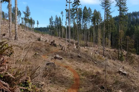 Fall Creek - Department of Natural Resources