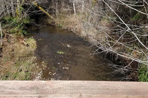 Fall Creek - Department of Natural Resources