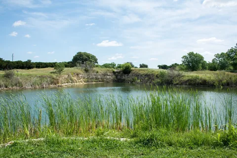 Whitney Resorts