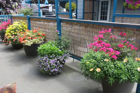 Mermaid Inn and RV Park