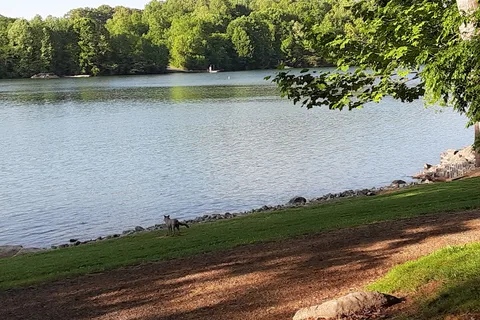 Lotterdale Cove Campground TRDA