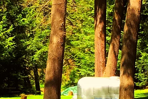 Penn Wood Airstream Park