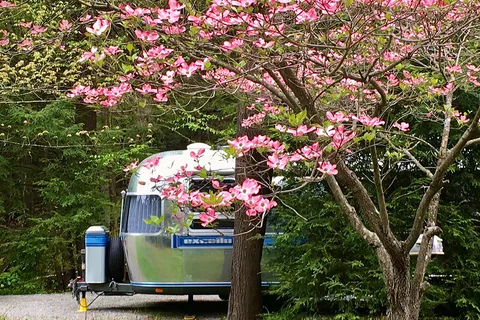 Penn Wood Airstream Park