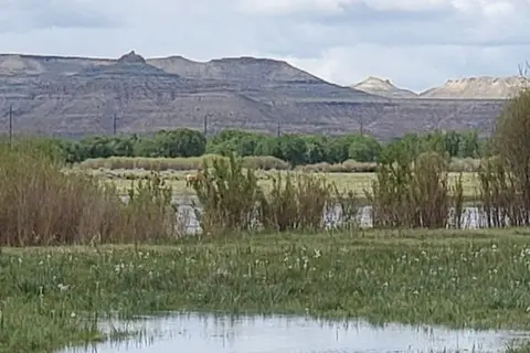 Mountain Bluebird RV Park