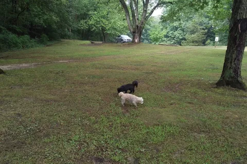 Hayes State Park