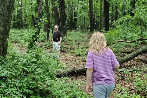 Hayes State Park