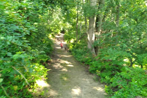 Hayes State Park