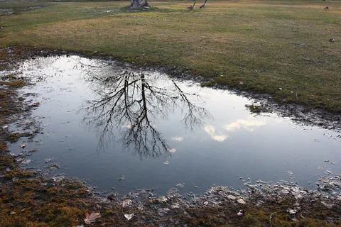 Hayes State Park