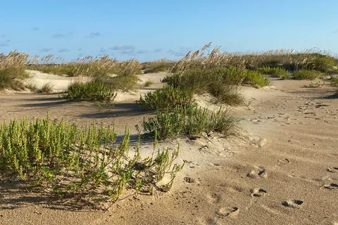Cape Point Campground - Cape Hatteras National Seashore