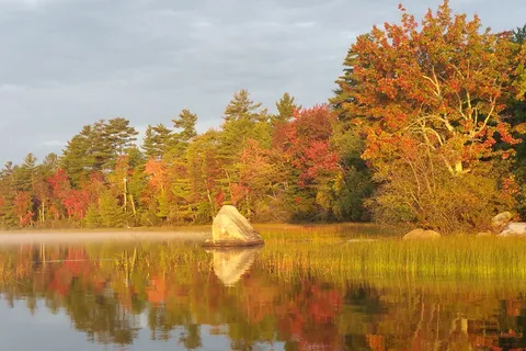 Hemlock Camping