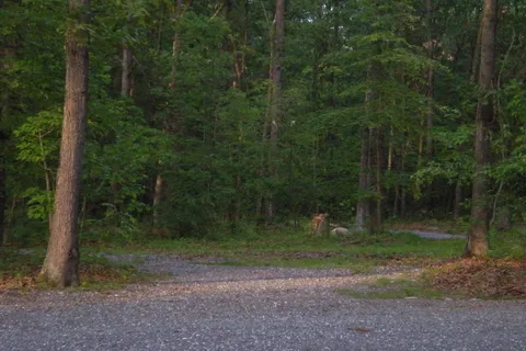 Harrisonburg / Shenandoah Valley KOA Holiday