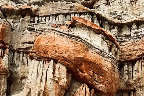 Ricardo Campground - Red Rock Canyon State Park
