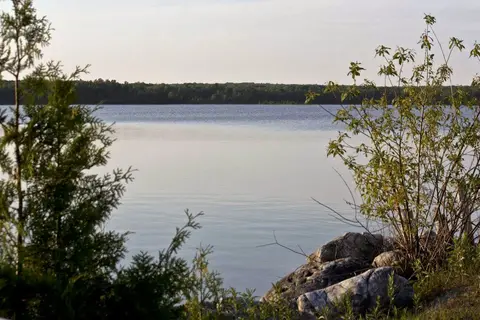 Mountain Trout Camp