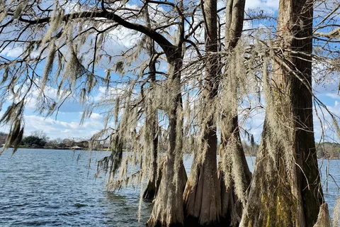 Lake Bruin State Park