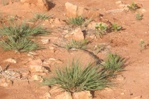 Harbor Bay Campground - Lake Meredith National Recreation Area