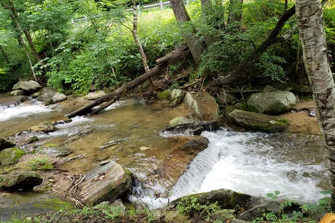 Creekside Mountain Camping