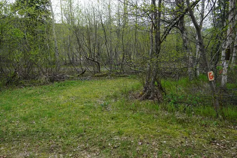 Moose Pass Campground