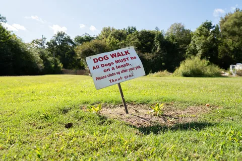 Memphis South Campground and RV Park