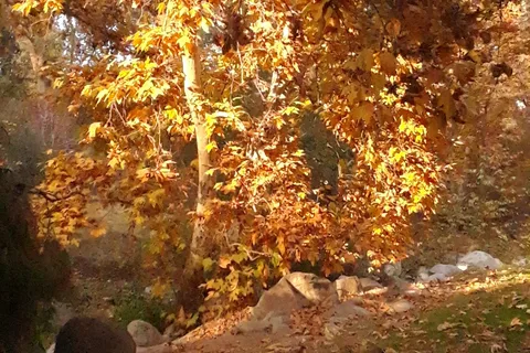 Quail Valley RV Park