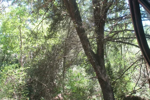 Quail Valley RV Park
