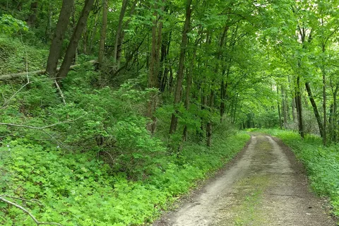 Chushons Peak Campground