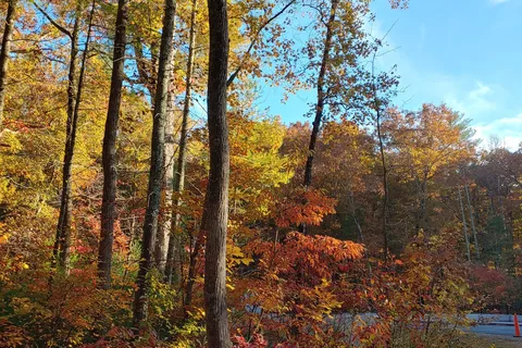 Otter Creek Campground - Blue Ridge Parkway National Park