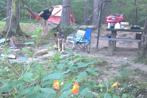 Otter Creek Campground - Blue Ridge Parkway National Park