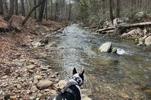 Otter Creek Campground - Blue Ridge Parkway National Park