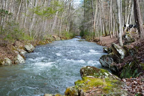 Otter Creek Campground - Blue Ridge Parkway National Park