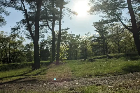 Lake Taghkanic State Park
