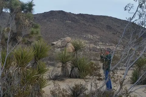 White Tank - Joshua Tree National Park