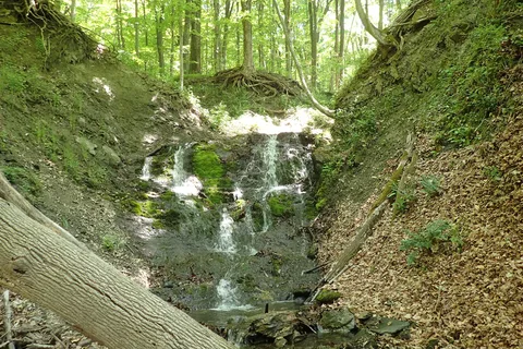 Rudd Pond Area - Taconic State Park