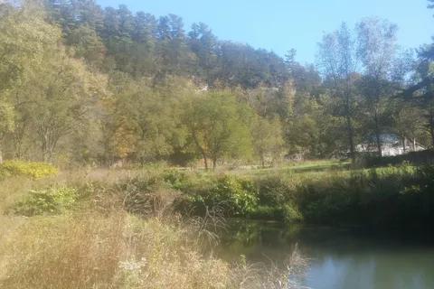Pine Bluff Campsites