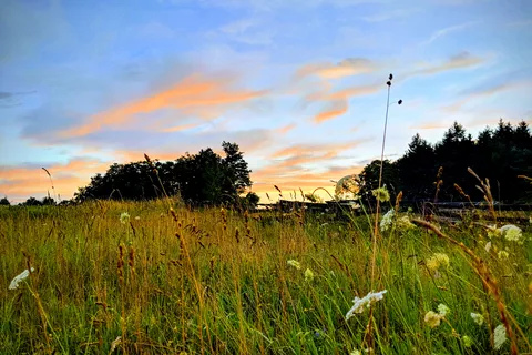 Rainbow Ridge Resort