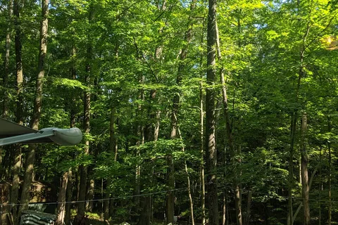 Berkshire Campgrounds