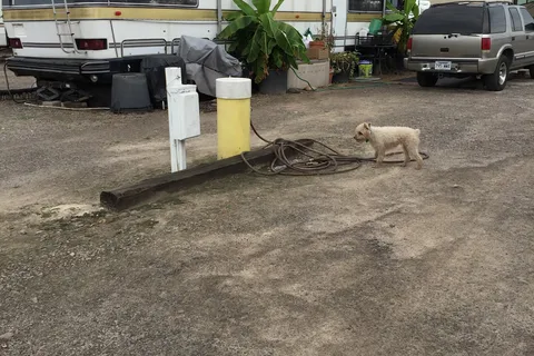 Crabtree RV Park