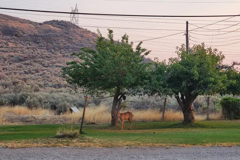 Grand Coulee RV Park