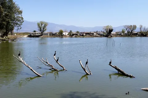 Reflection Lake RV Park