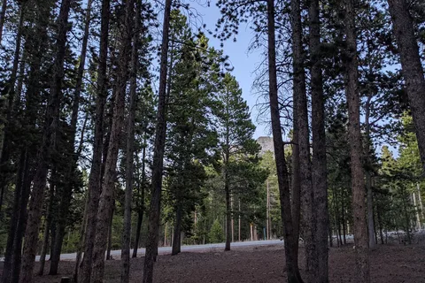Reverends Ridge - Golden Gate Canyon State Park