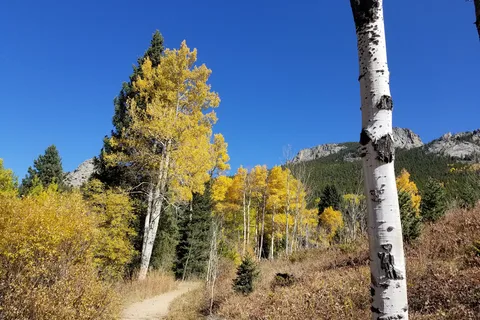 Reverends Ridge - Golden Gate Canyon State Park