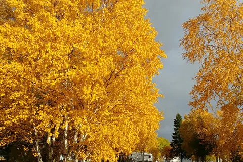 Natures Inn RV Park