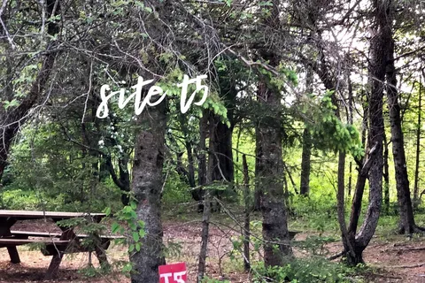 Moosehead Family Campground