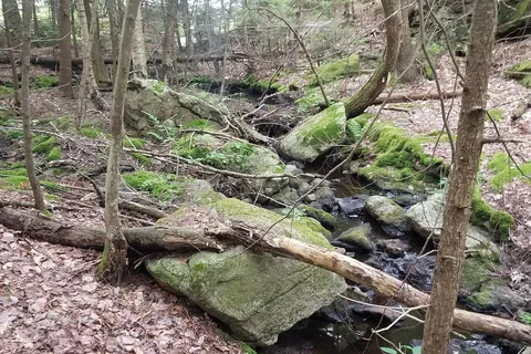 Meadowbrook Camping Area