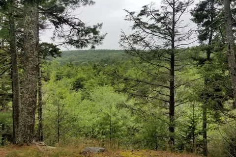 Meadowbrook Camping Area