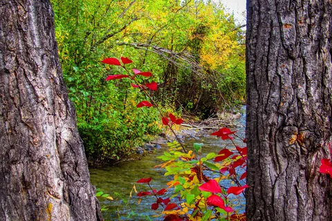 Squirrel Creek State Recreation Site